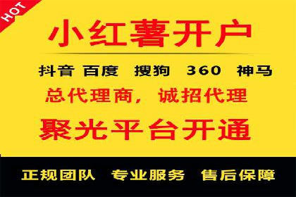 成功案例集锦：信息流广告代运营公司的卓越表现